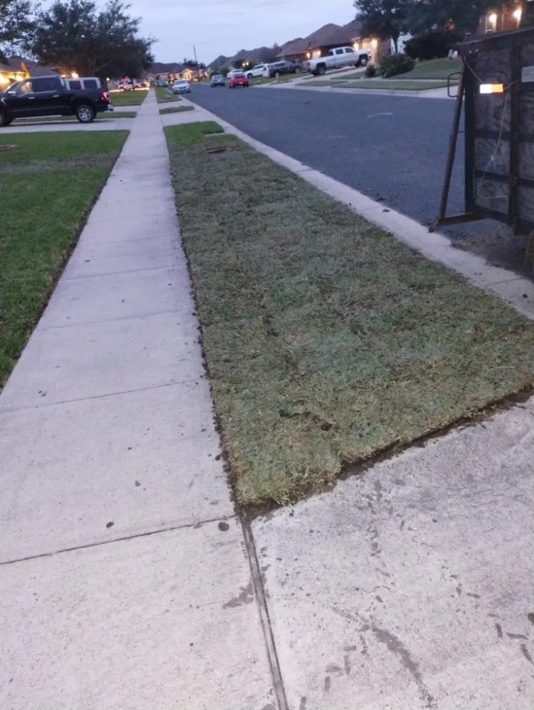 Trusted landscaping services for outdoor upgrades in Corpus Christi, TX by Vega's Tree and Lawn Service