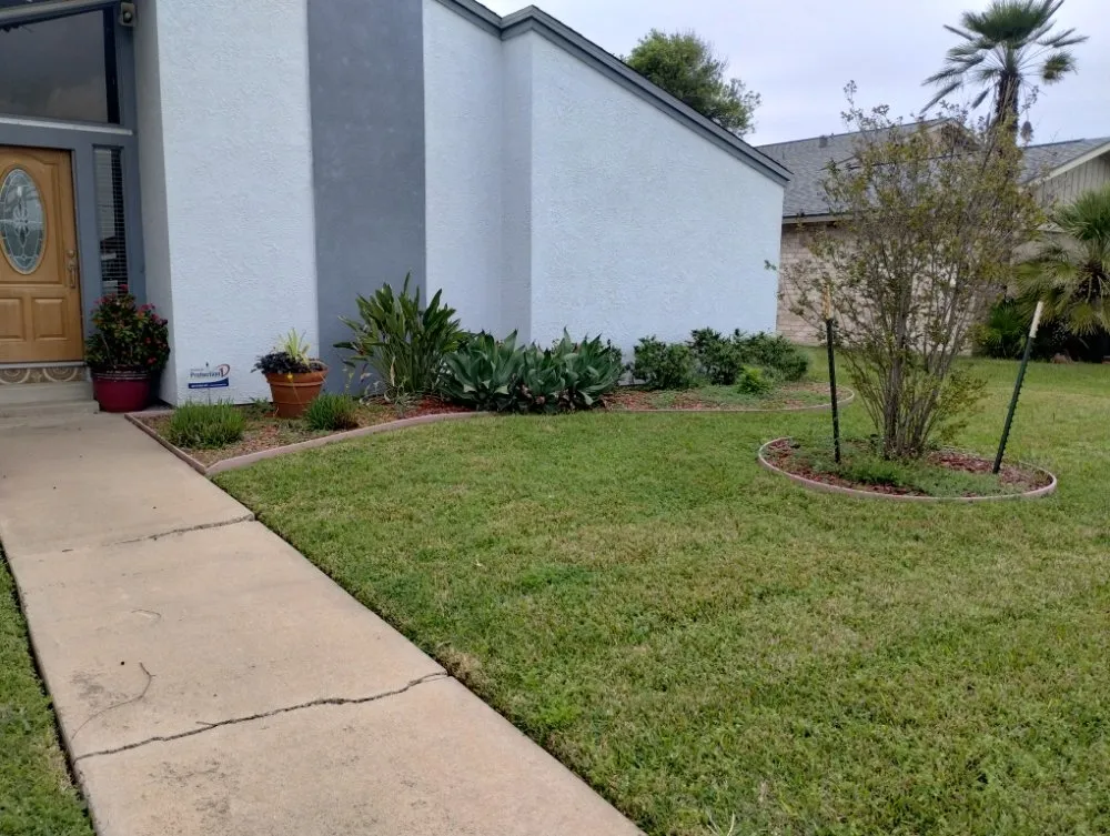 Affordable landscape installation experts serving Corpus Christi, TX - Vega's Tree and Lawn Service
