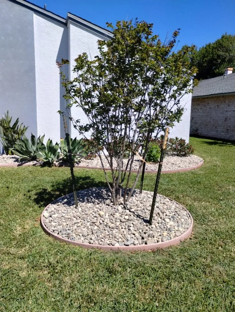 Top-rated outdoor landscaping in Corpus Christi, TX by Vega's Tree and Lawn Service