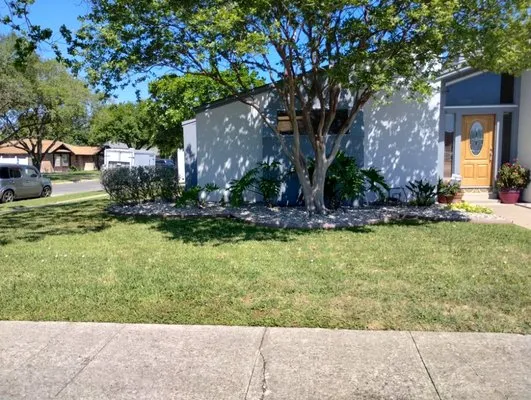 Vega's Tree and Lawn Service