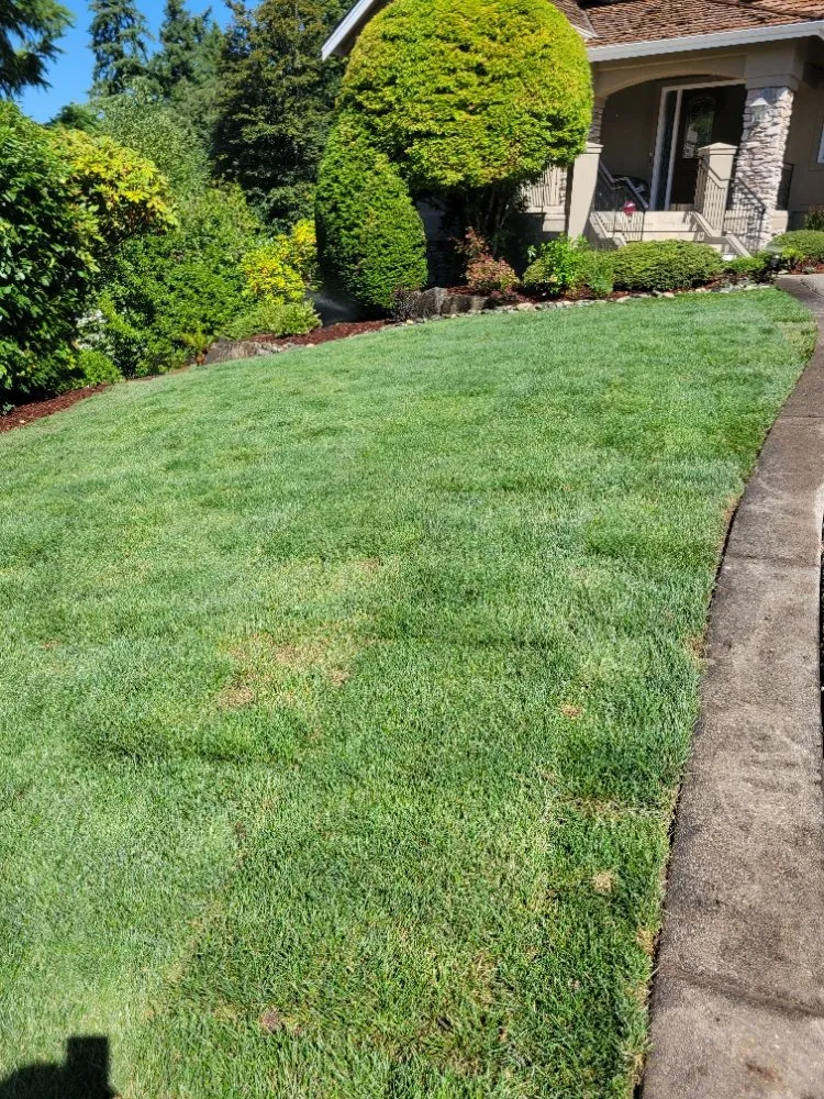 Custom landscape installation in Auburn, WA - Vega's Tree Service