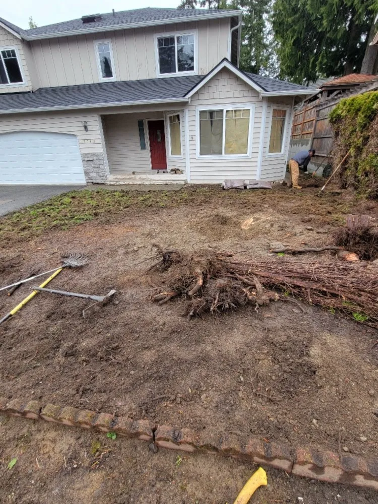 Trusted yard cleanup service in Auburn, WA - Vega's Tree Service