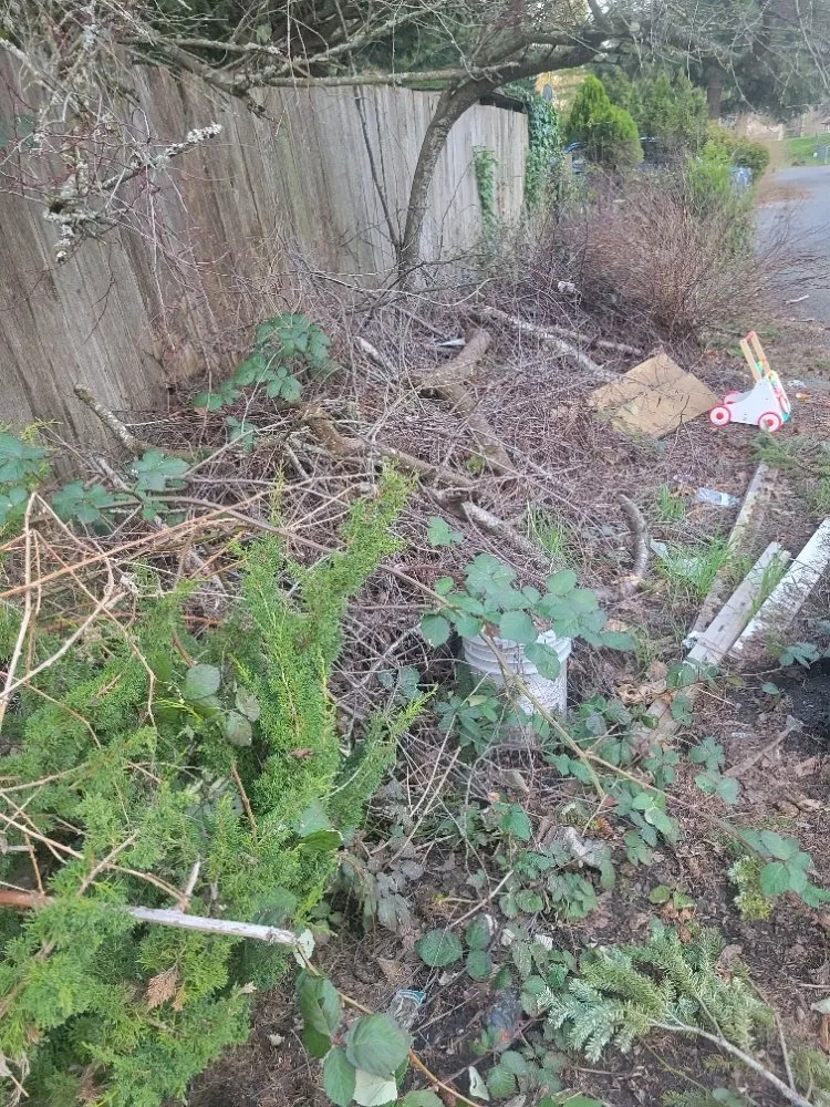 Top-rated yard cleanup service with custom design across Auburn, WA - Vega's Tree Service