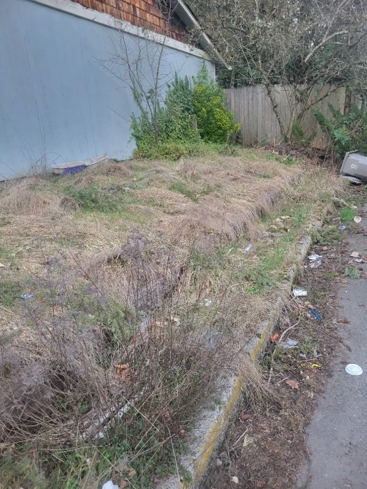 Local lawn mowing service for outdoor upgrades across Auburn, WA - Vega's Tree Service