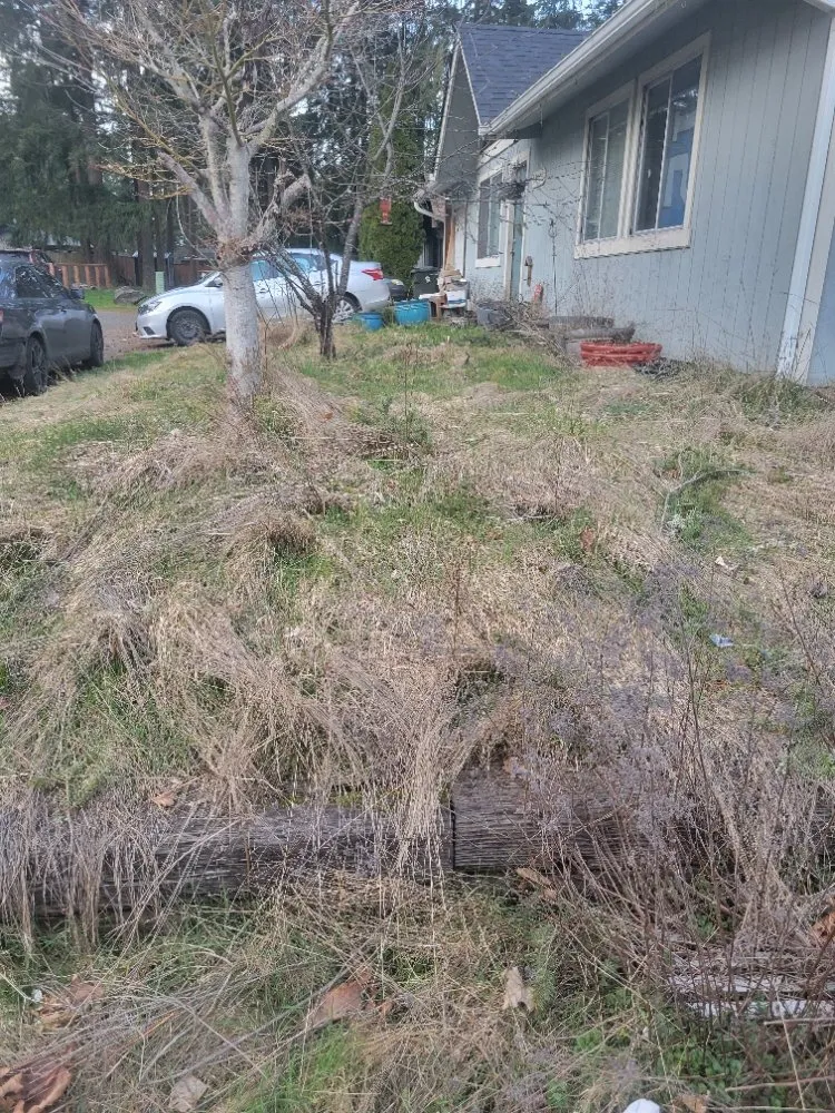 Custom garden landscaping for homes in Auburn, WA by Vega's Tree Service