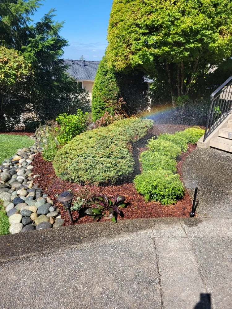 Affordable outdoor landscaping for residential properties in Auburn, WA by Vega's Tree Service