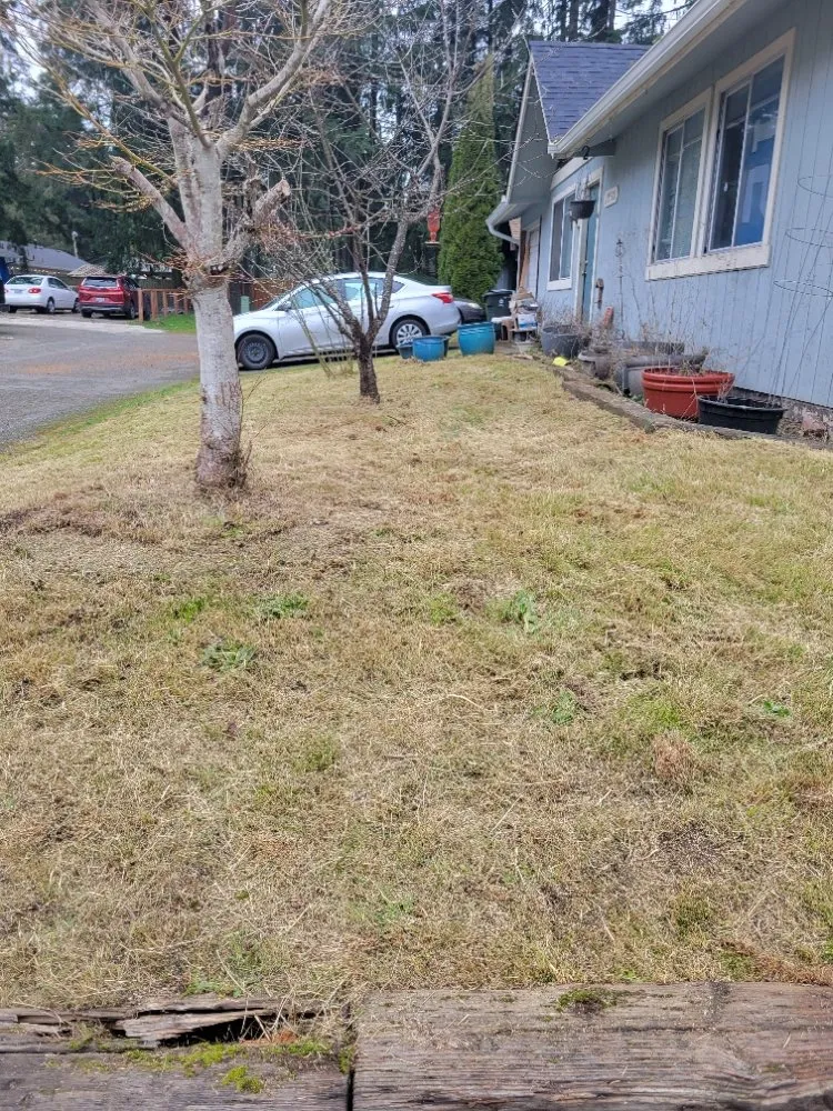 Reliable garden landscaping in Auburn, WA - Vega's Tree Service