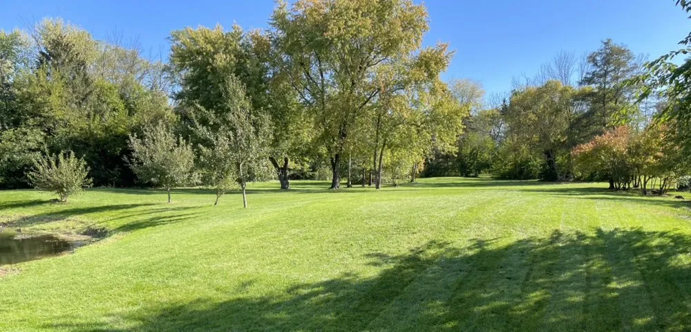 Trusted yard cleanup service in Joliet, IL - Veggie Acres