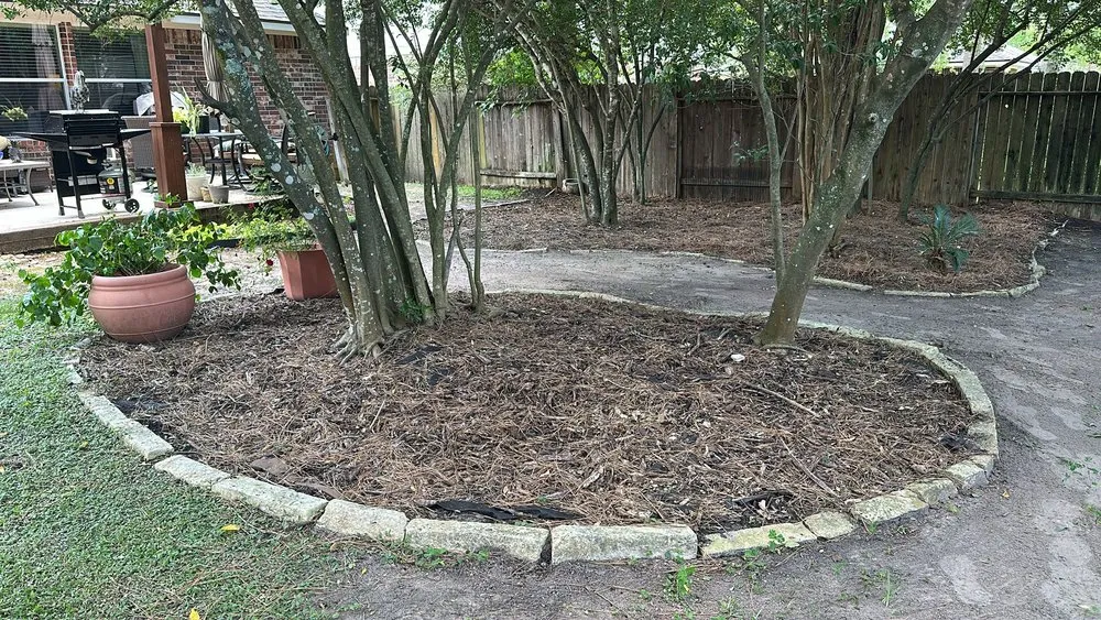 Local lawn care service near you across The Woodlands, TX - Veggie Urbano