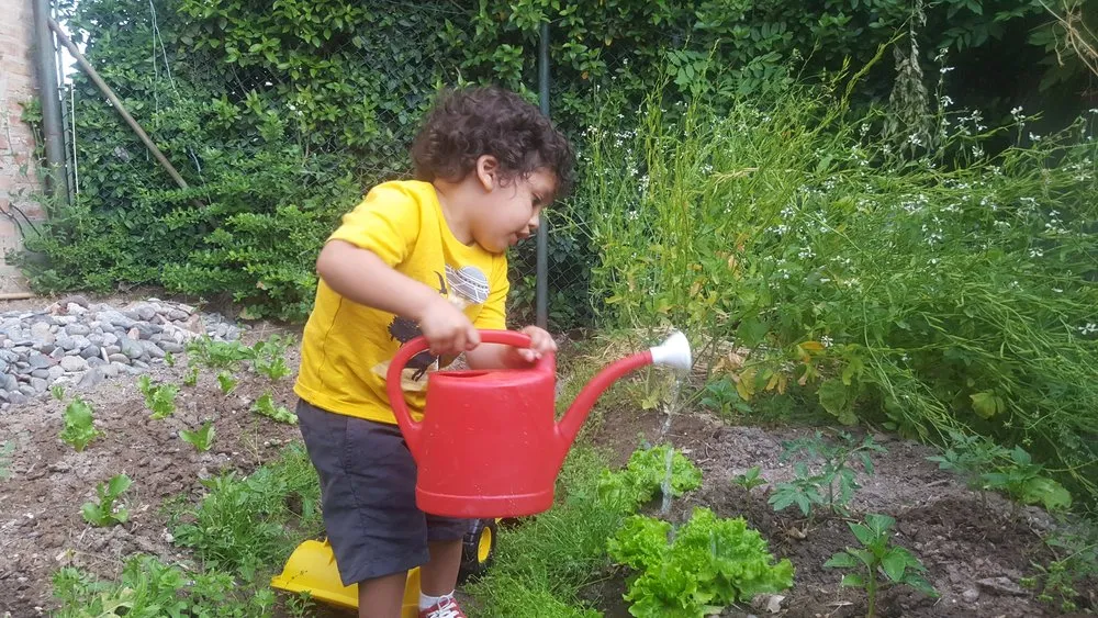 Affordable landscaping services experts serving The Woodlands, TX - Veggie Urbano