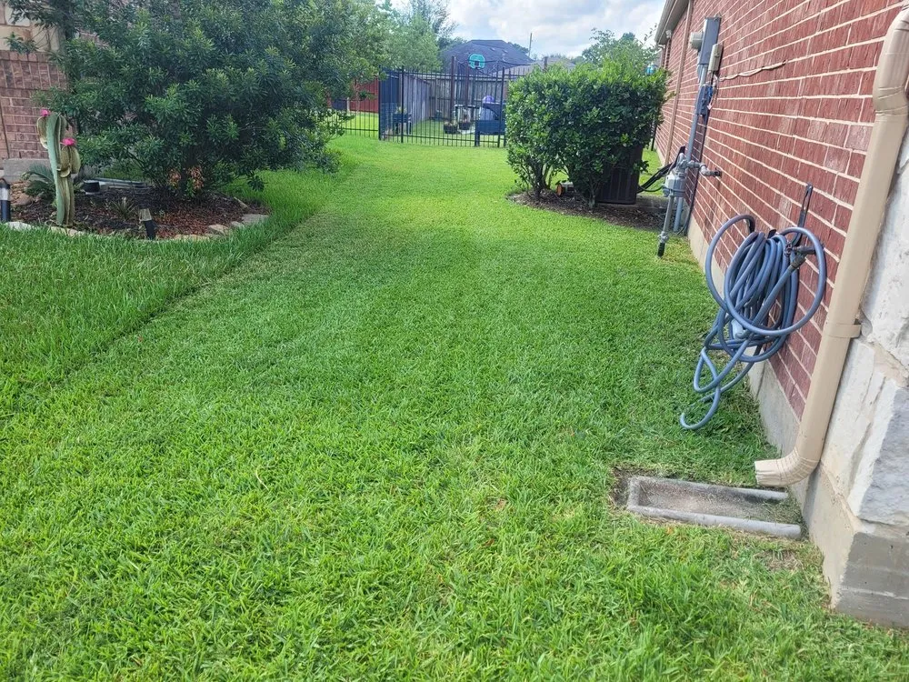 Expert residential landscaping near you across The Woodlands, TX - Veggie Urbano