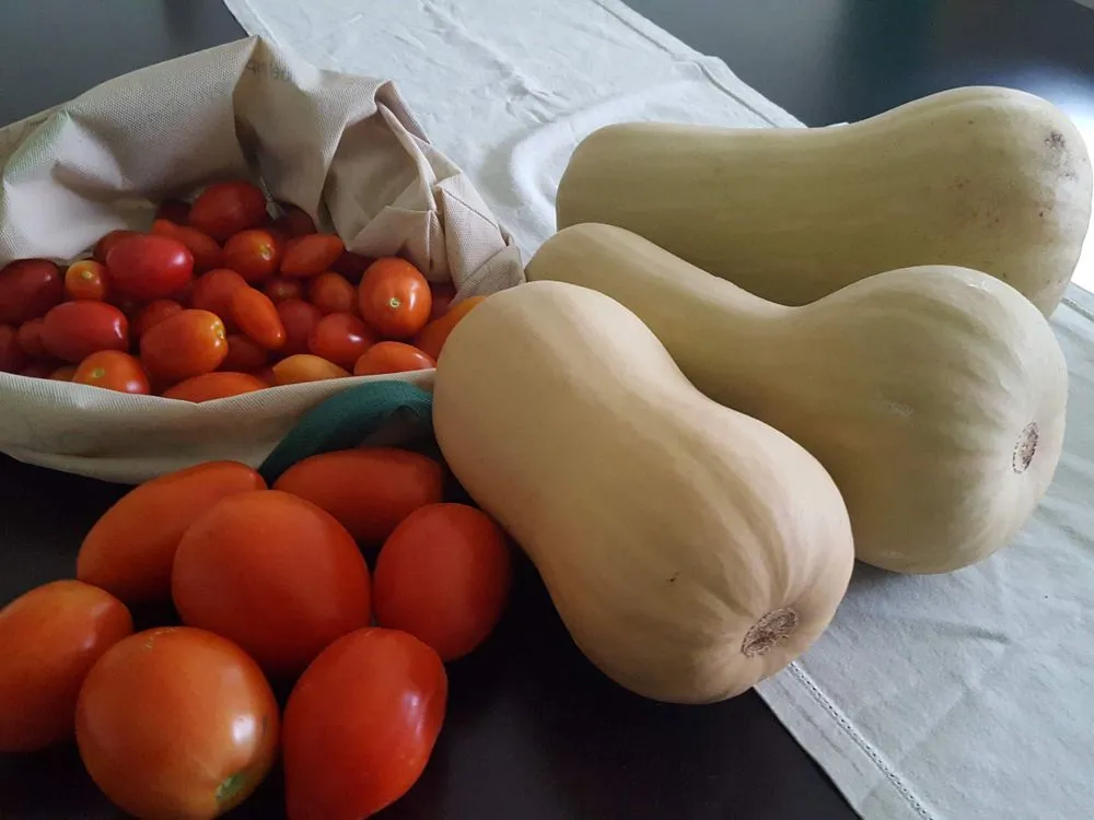 Professional landscape installation in The Woodlands, TX - Veggie Urbano