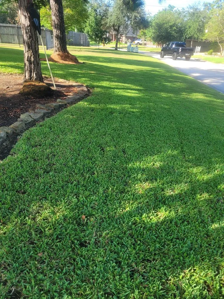 Affordable outdoor landscaping in The Woodlands, TX by Veggie Urbano
