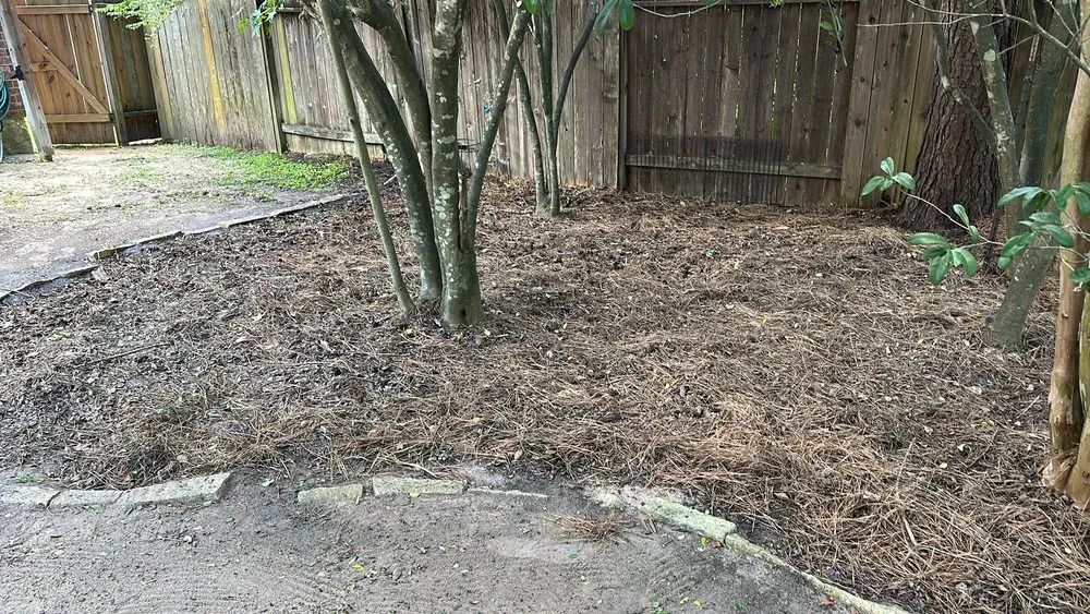 Reliable yard cleanup service in The Woodlands, TX by Veggie Urbano