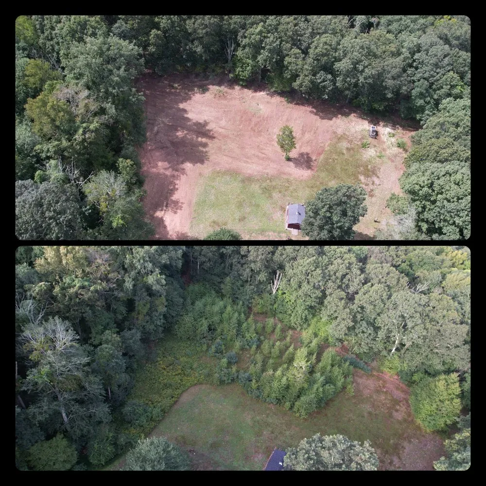 Reliable lawn care service in Orange, CT - VegOut Forestry