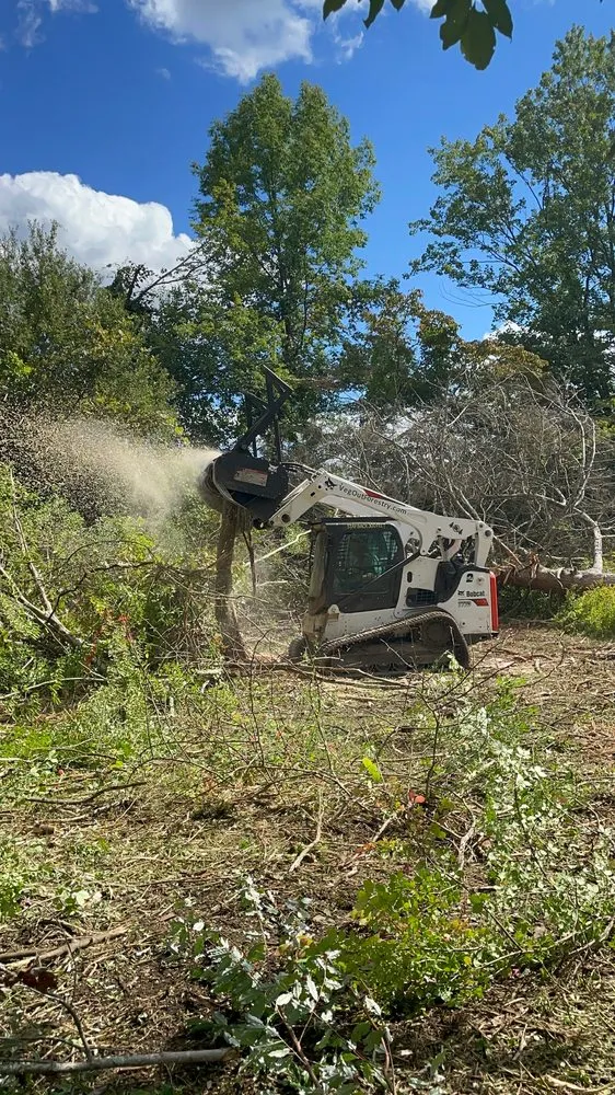 Trusted lawn care service in Orange, CT by VegOut Forestry