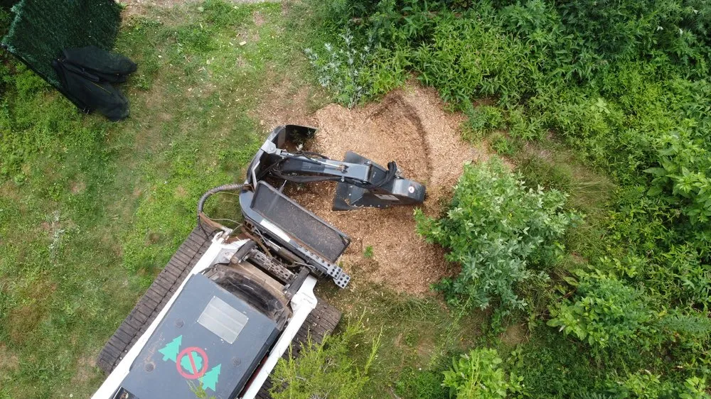 Custom landscape design for homes in Orange, CT by VegOut Forestry