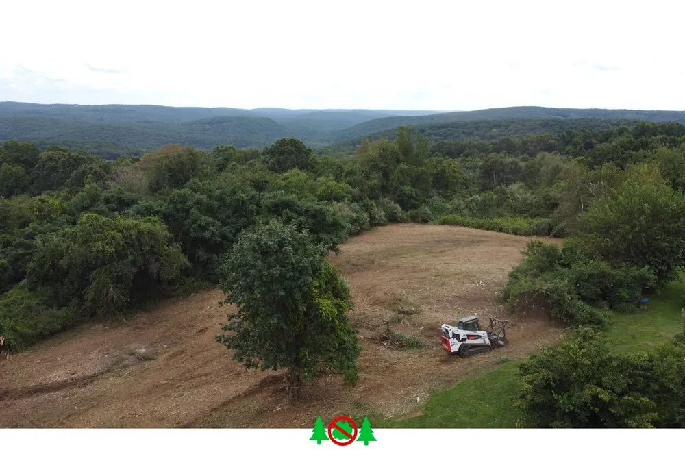 Trusted landscape design for outdoor upgrades across Orange, CT - VegOut Forestry