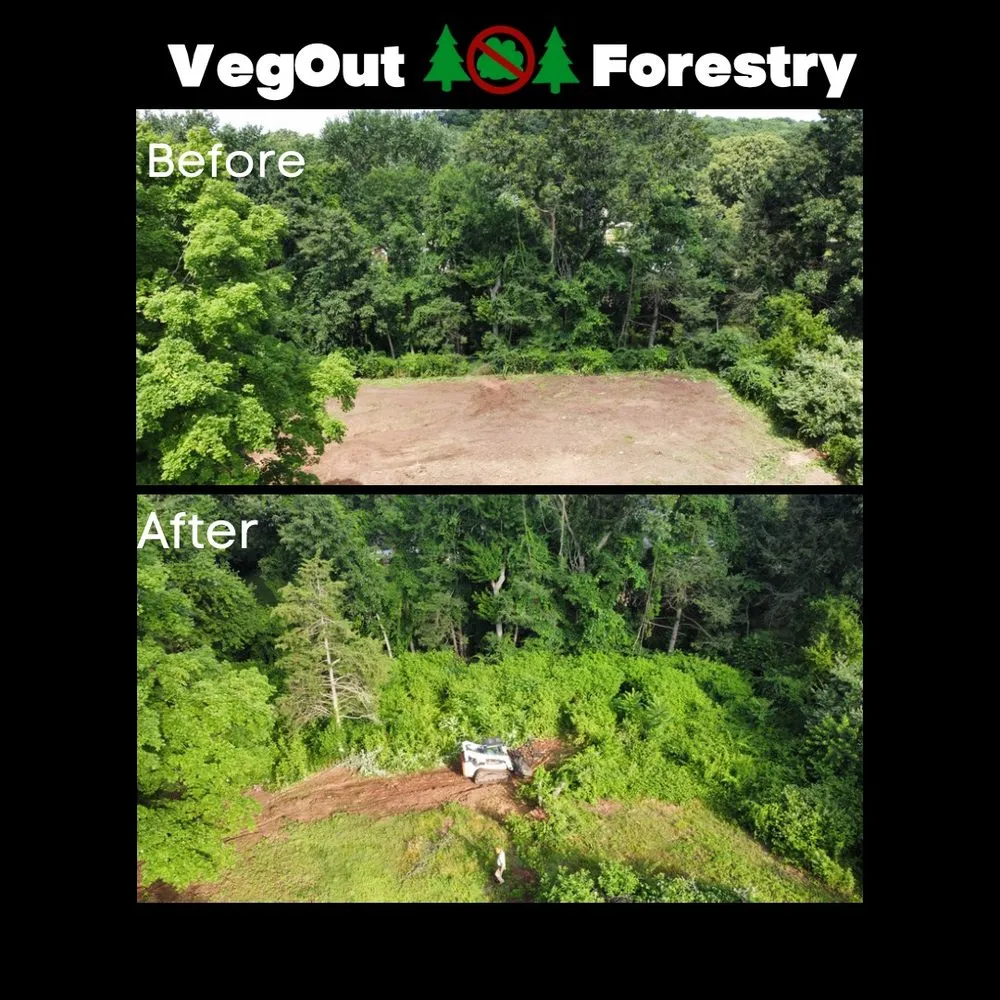 Expert residential landscaping in Orange, CT by VegOut Forestry