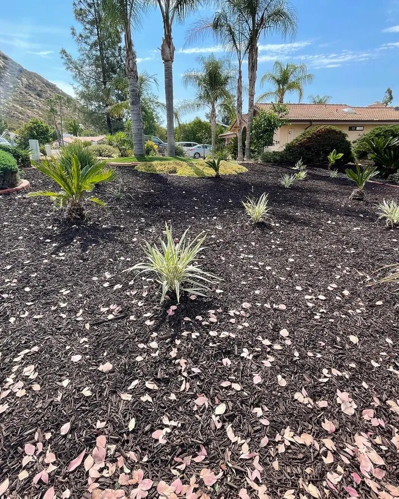 Affordable lawn mowing service in Jamul, CA - VEKA Contracting Company