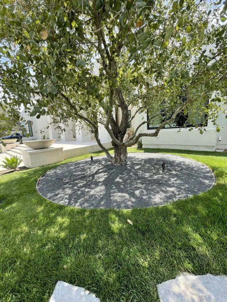 Trusted landscape installation in Jamul, CA - VEKA Contracting Company