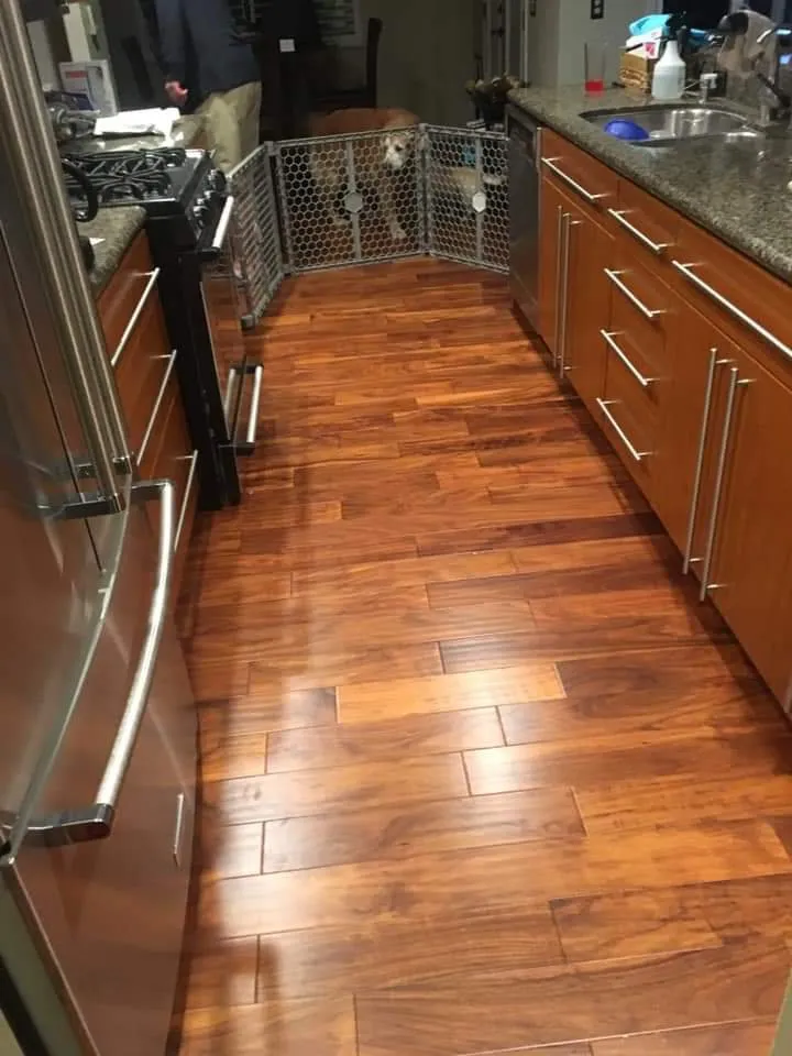 Professional lawn care service for homes across Jamul, CA - VEKA Contracting Company