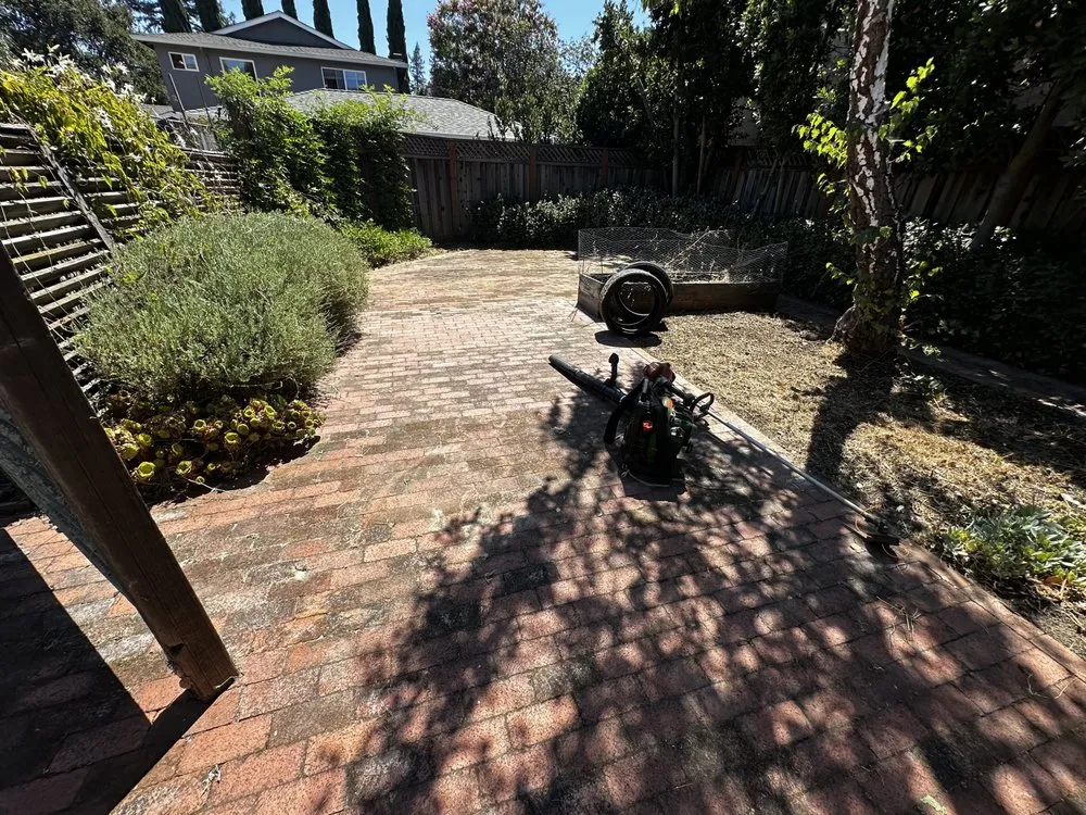 Affordable lawn care service in Hayward, CA by Vel Services