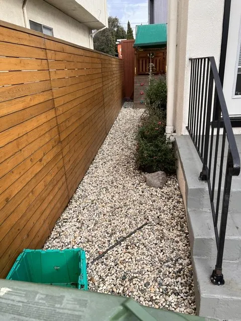 Expert yard cleanup service in Hayward, CA - Vel Services