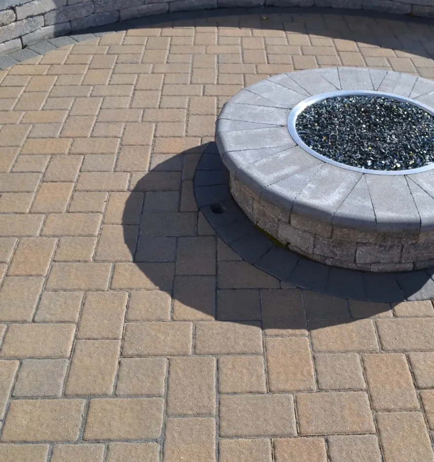 Trusted yard cleanup service experts serving Hayward, CA - Vel Services