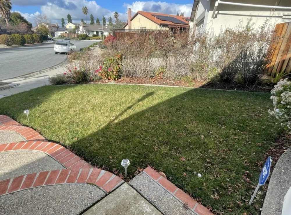 Top-rated yard maintenance in Hayward, CA by Vel Services