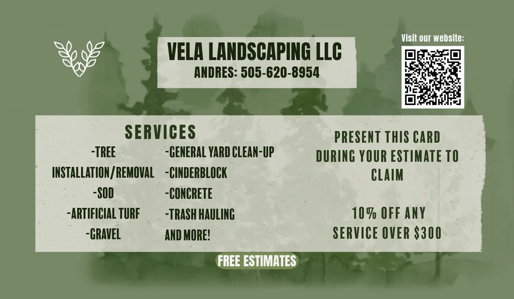 Reliable yard cleanup service for residential properties in Albuquerque, NM by Vela Landscaping