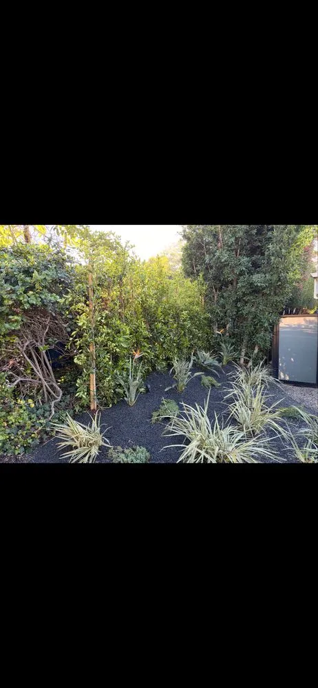 Reliable landscape design for homes in Hawthorne, CA by Velaco Gardening