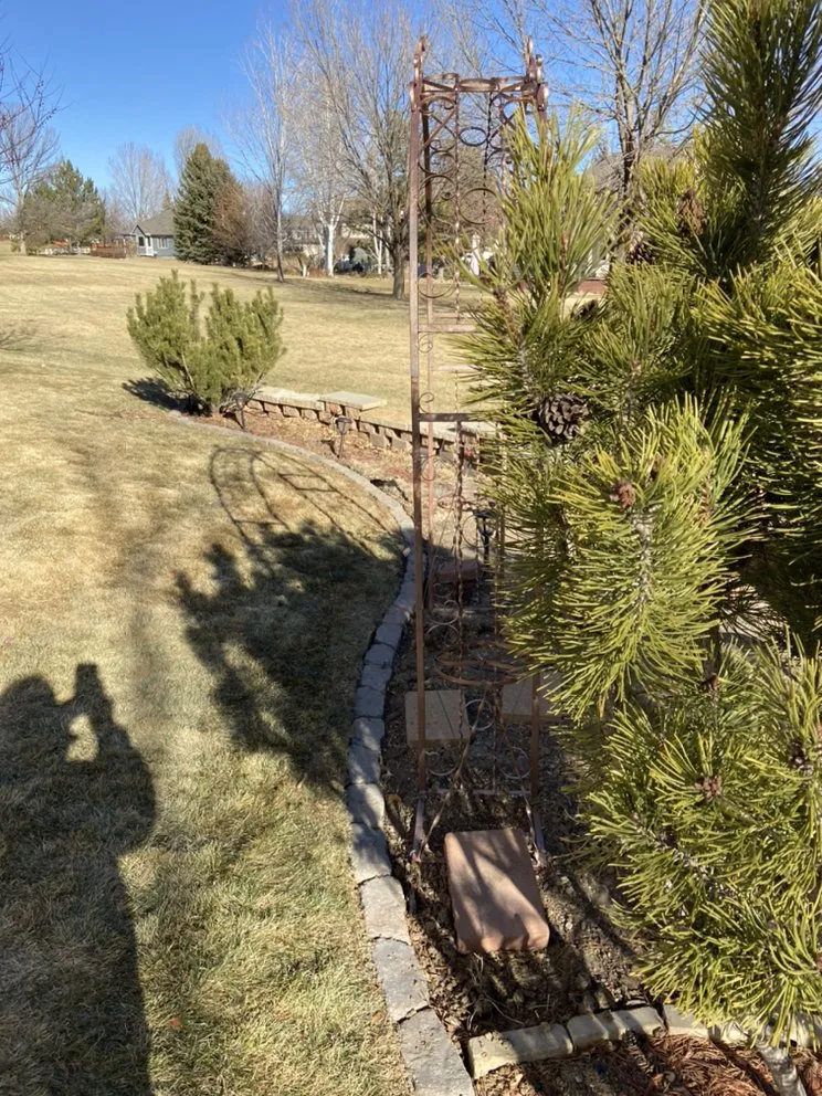 Reliable landscape design in Loveland, CO - Velarde Landscaping