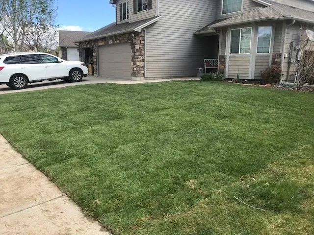 Reliable residential landscaping with custom design across Loveland, CO - Velarde Landscaping