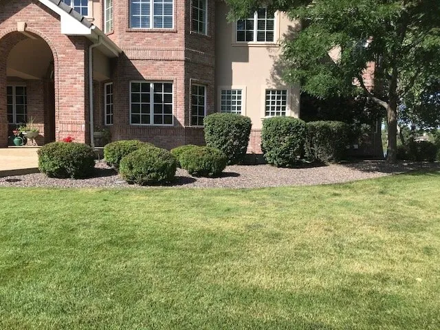 Top-rated yard cleanup service experts serving Loveland, CO - Velarde Landscaping