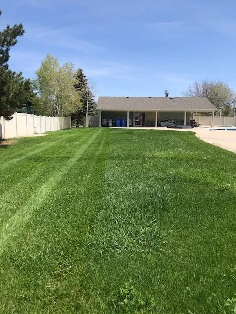 Reliable lawn mowing service experts serving Loveland, CO - Velarde Landscaping