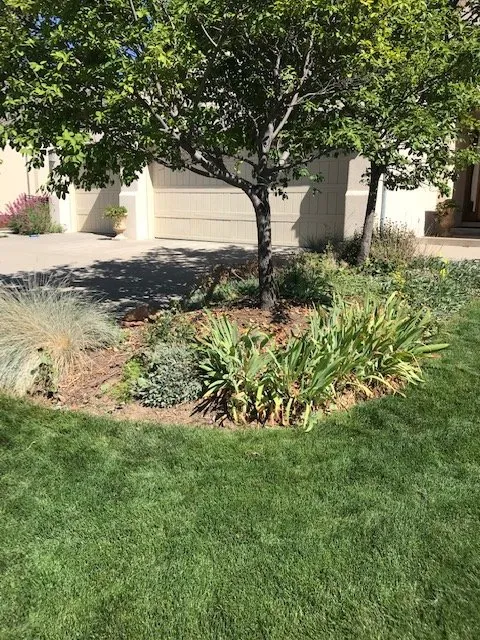 Expert yard maintenance with custom design in Loveland, CO by Velarde Landscaping