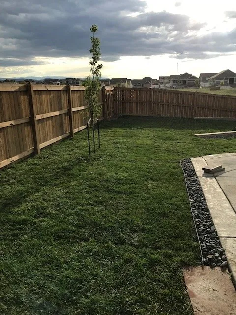 Expert yard cleanup service experts serving Loveland, CO - Velarde Landscaping
