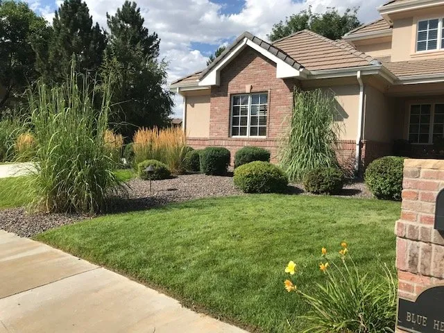 Local yard cleanup service for beautiful yards in Loveland, CO by Velarde Landscaping