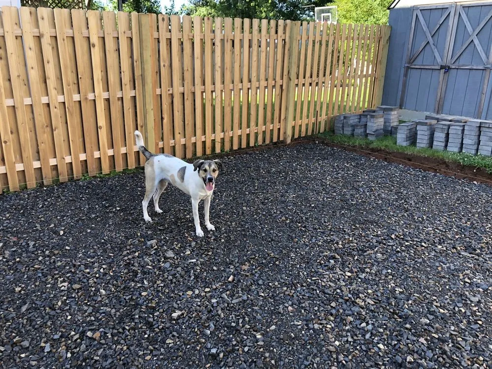 Local landscape installation for homes in Lakewood, NJ by Velarde Lawn Service Landscaping Design