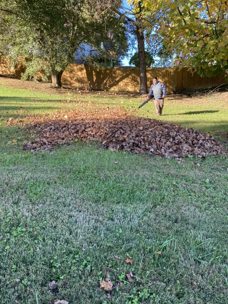 Professional landscaping services near you in Bristol, TN by Velasco Family Lawn Care