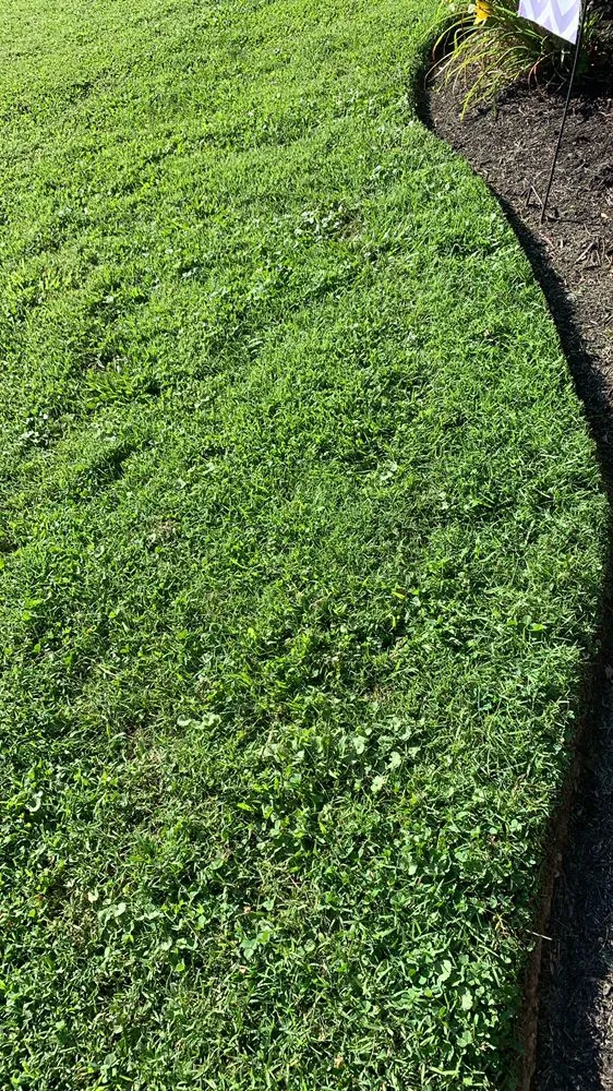 Custom yard maintenance in Bristol, TN by Velasco Family Lawn Care