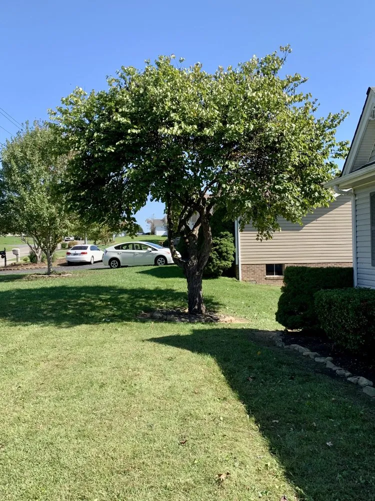 Affordable landscape installation in Bristol, TN - Velasco Family Lawn Care