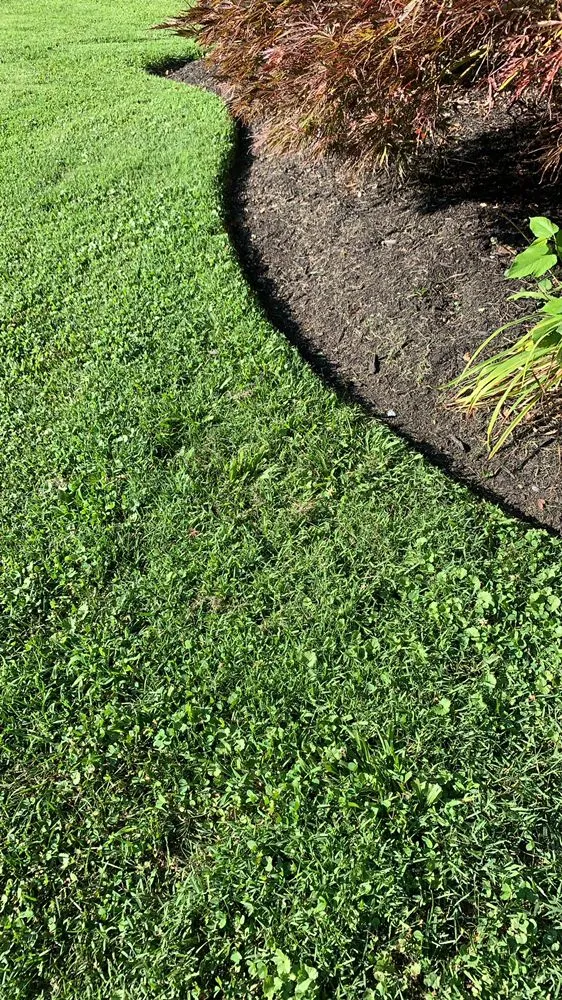 Trusted outdoor landscaping experts serving Bristol, TN - Velasco Family Lawn Care