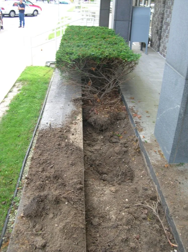 Professional lawn care service experts serving Chicago, IL - Velasco Landscaping