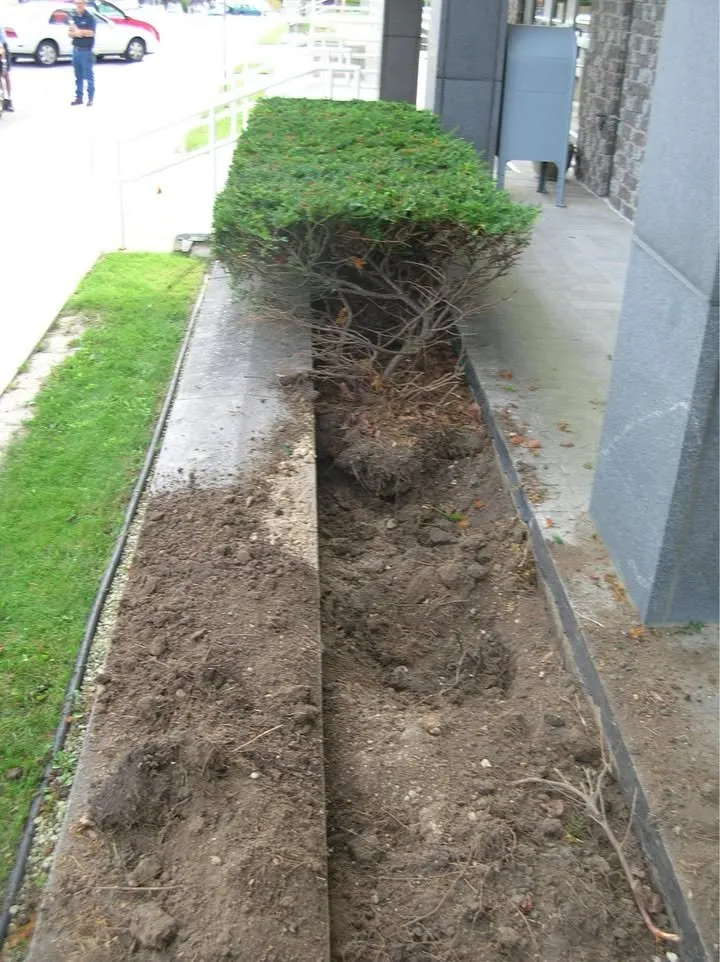 Affordable residential landscaping for beautiful yards across Chicago, IL - Velasco Landscaping