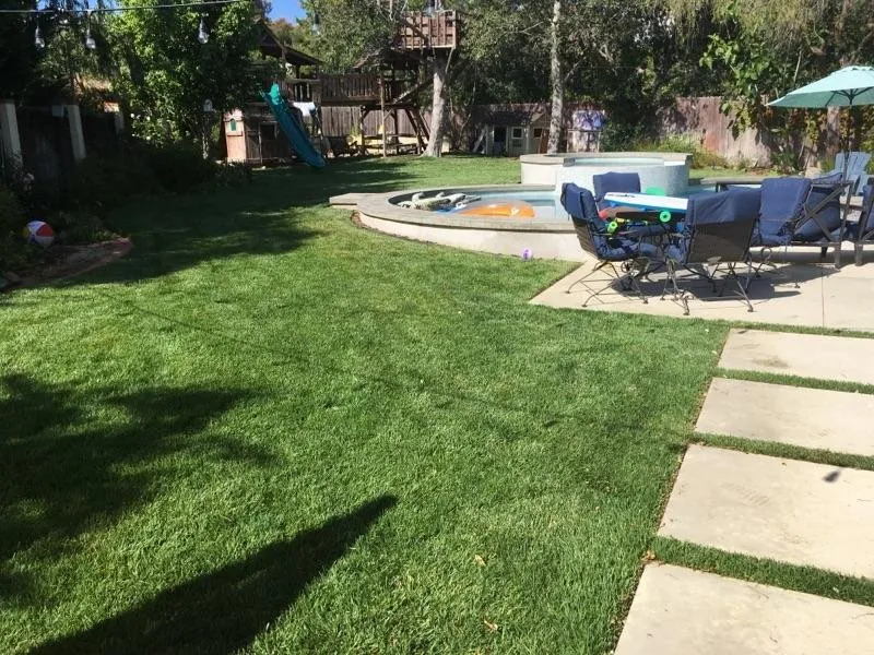 Reliable yard maintenance for residential properties in Escondido, CA by Velasco Landscaping