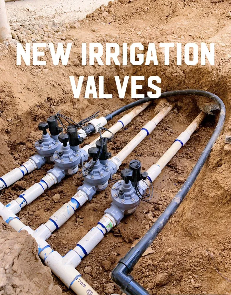 Affordable landscaping services in Phoenix, AZ - Velasco Landscaping