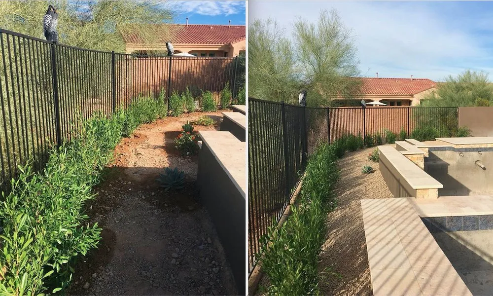 Custom lawn care service for beautiful yards in Phoenix, AZ by Velasco Landscaping