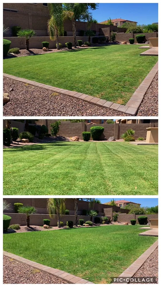 Professional landscape installation for year-round maintenance across Phoenix, AZ - Velasco Landscaping